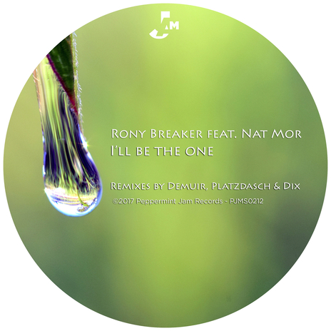 I'll Be the One ft. Nat Mor | Boomplay Music