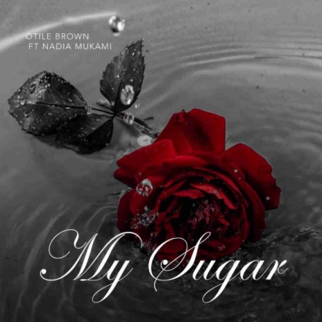 My Sugar | Boomplay Music
