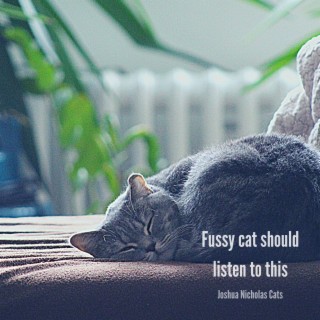 Fussy cat should listen to this