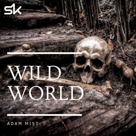 Wild World (Original Mix)