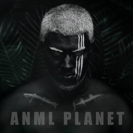 Anml Planet | Boomplay Music