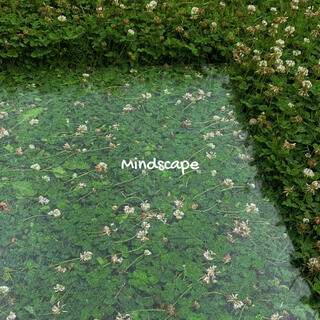 Mindscape