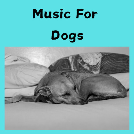 Sleeping Music for Dogs and Cats ft. Music For Dogs Peace, Relaxing Puppy Music & Calm Pets Music Academy