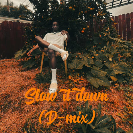 Slow it down (D-mix) | Boomplay Music