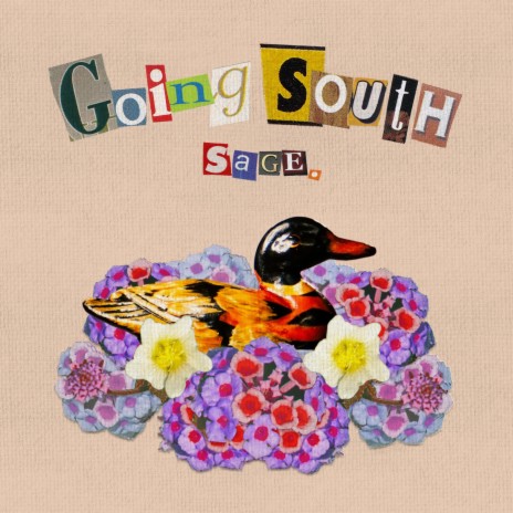 Going South | Boomplay Music