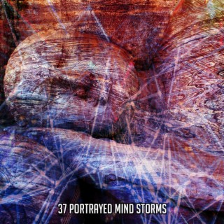 37 Portrayed Mind Storms