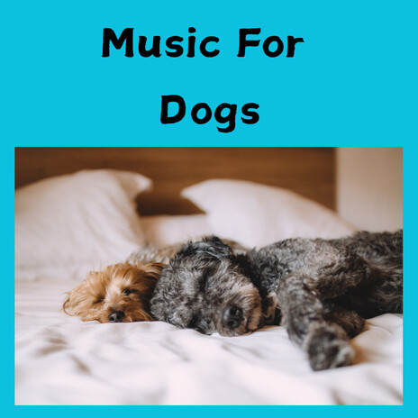Dog Music ft. Music For Dogs Peace, Relaxing Puppy Music & Calm Pets Music Academy