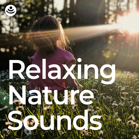 Gentle Relaxing Woodland Symphony ft. LBE Nature Recordings & Epic Nature | Boomplay Music