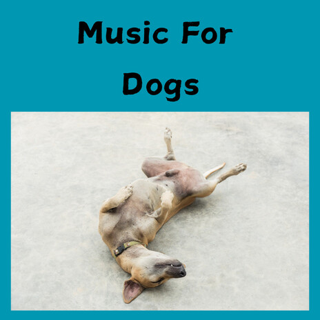 Dog Harmony ft. Music For Dogs Peace, Relaxing Puppy Music & Calm Pets Music Academy