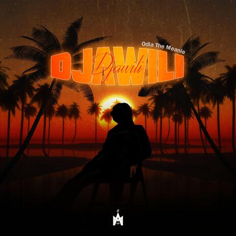 Djawili | Boomplay Music