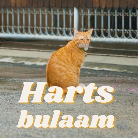 Harts bulaam | Boomplay Music