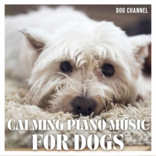 Calming Piano Music for Dogs