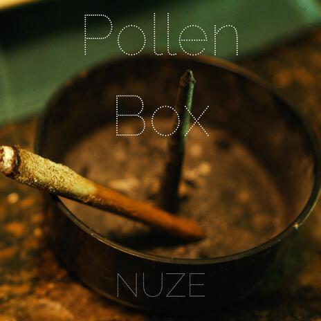 Pollen Box | Boomplay Music