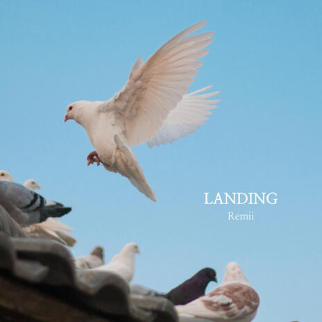 Landing | Boomplay Music