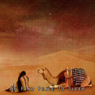 46 Find Peace To Sleep