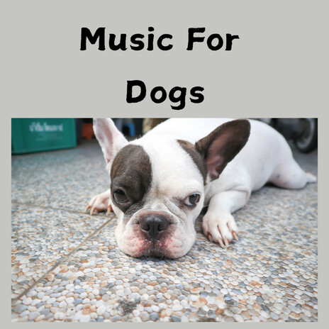 Sleep Music For Dogs ft. Music For Dogs Peace, Relaxing Puppy Music & Calm Pets Music Academy | Boomplay Music