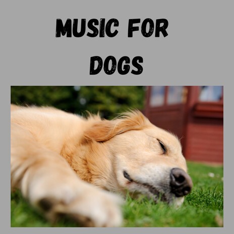 Sleepy Dog ft. Music For Dogs Peace, Relaxing Puppy Music & Calm Pets Music Academy