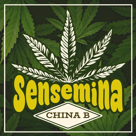 Sensemina ft. Jah SoulJah | Boomplay Music