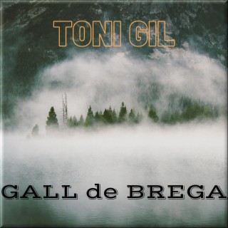 GALL DE BREGA