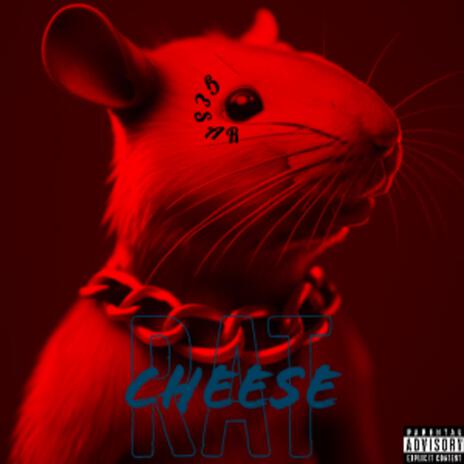 RaT CheeSe | Boomplay Music