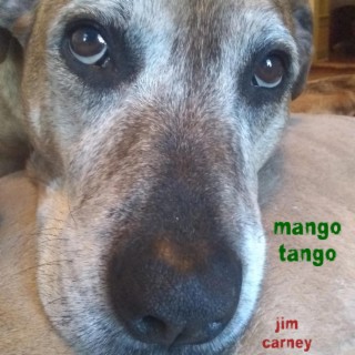 mango tango