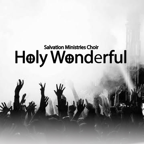 Holy Wonderful | Boomplay Music