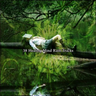 38 Healing Mind Rain Tracks