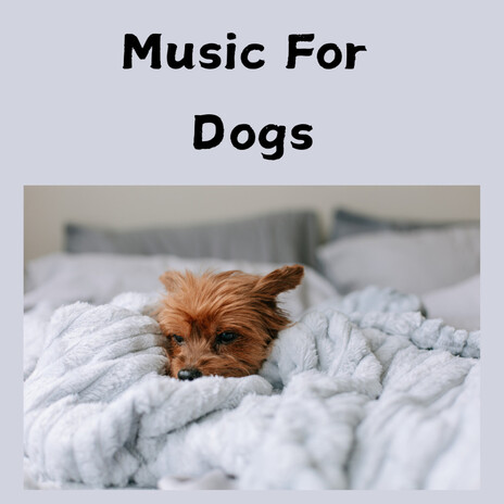 Dog Sleep Time ft. Music For Dogs Peace, Relaxing Puppy Music & Calm Pets Music Academy