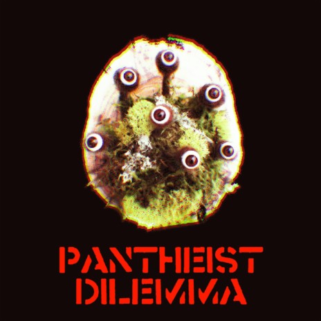 PANTHEIST DILEMMA | Boomplay Music