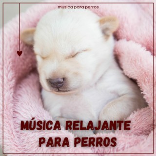 Música relajante para perros