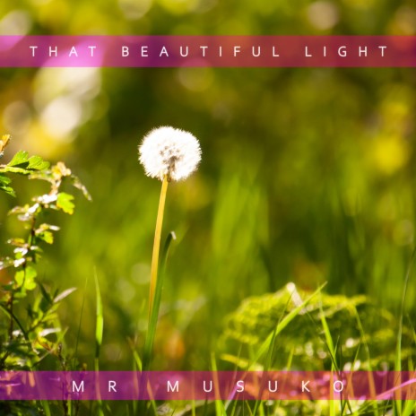 That Beautiful Light | Boomplay Music