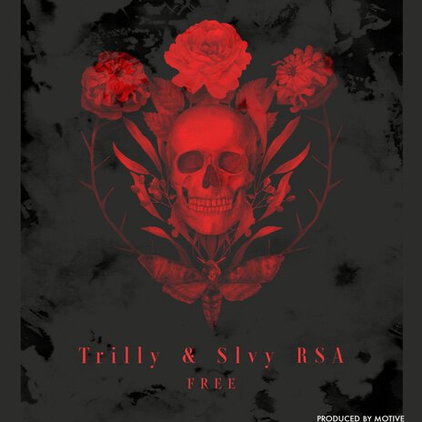 Free ft. Slvy Rsa | Boomplay Music