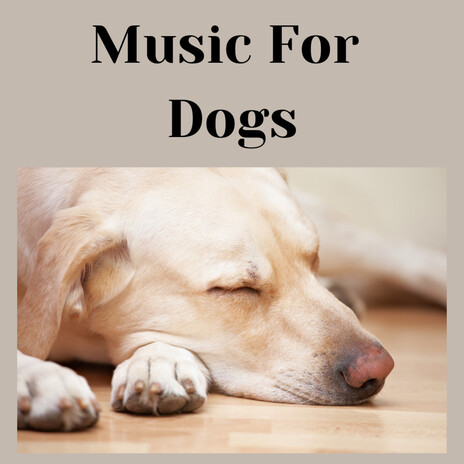 Pleasant Dreams ft. Music For Dogs Peace, Relaxing Puppy Music & Calm Pets Music Academy