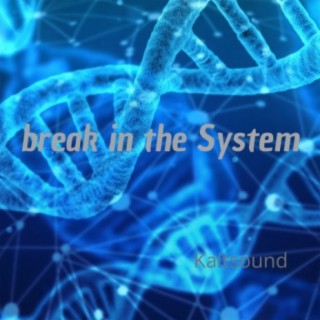 break in the system