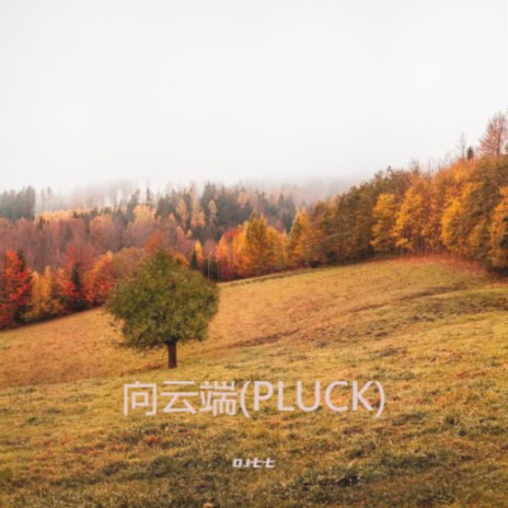 PLUCK (Full) | Boomplay Music