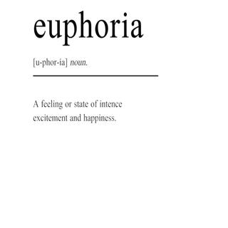 Euphoria lyrics | Boomplay Music