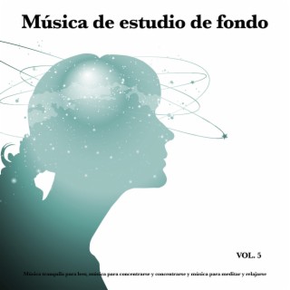 Música de estudio de fondo: Música tranquila para leer, música para concentrarse y concentrarse y música para meditar y relajarse, Vol. 5