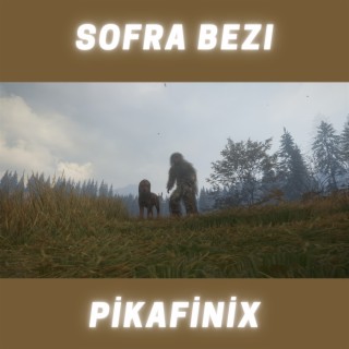 Pikafinix