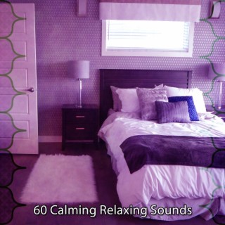 60 Calming Relaxing Sounds