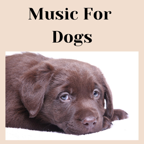 Unwind Puppy ft. Music For Dogs Peace, Relaxing Puppy Music & Calm Pets Music Academy