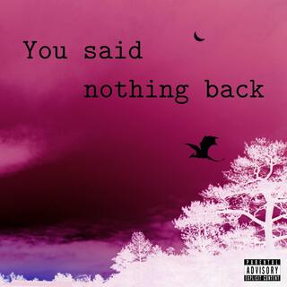 You Said Nothing Back