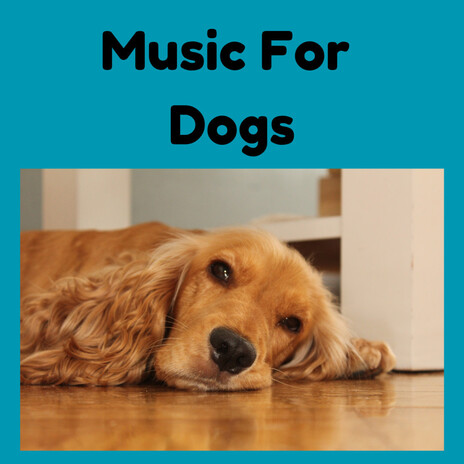 Soothing Dog Relief ft. Music For Dogs Peace, Relaxing Puppy Music & Calm Pets Music Academy