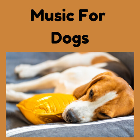 Calming Down ft. Music For Dogs Peace, Relaxing Puppy Music & Calm Pets Music Academy