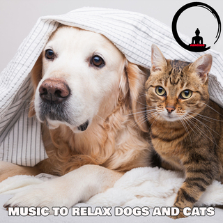 Music To Relax Dogs And Cats