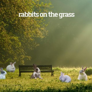 Rabbits on the Grass