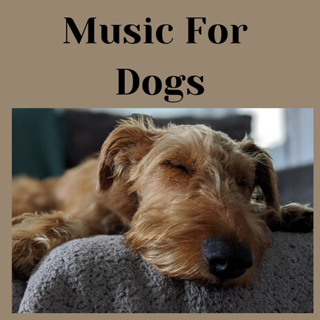 Healing Melodies ft. Music For Dogs Peace, Relaxing Puppy Music & Calm Pets Music Academy