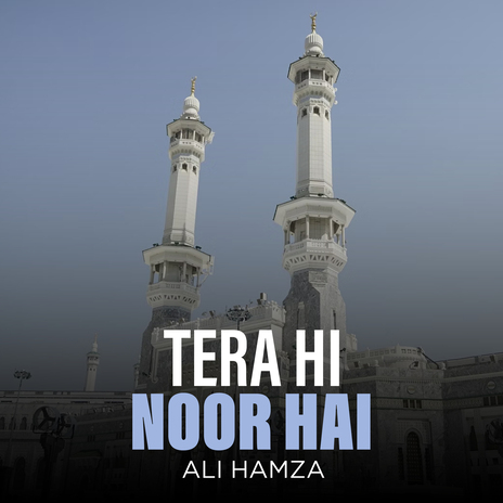 Tera Hi Noor Hai | Boomplay Music