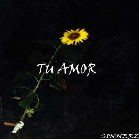 Tu Amor | Boomplay Music