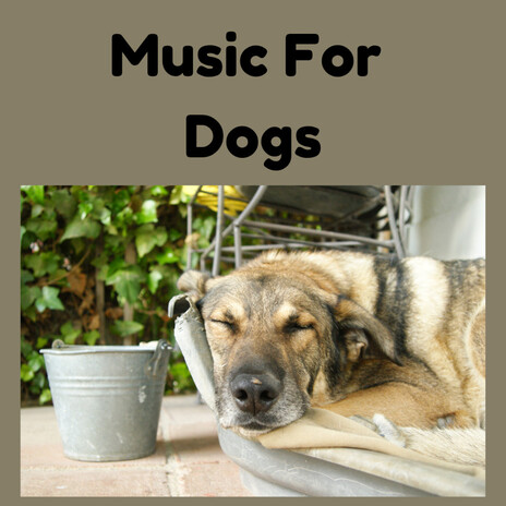 Dog Symphony ft. Music For Dogs Peace, Relaxing Puppy Music & Calm Pets Music Academy
