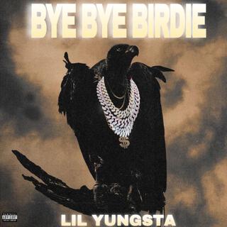 Bye Bye Birdie (Vultures 2)